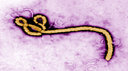 Ebola Coverage