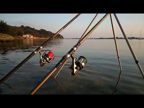 Surfcasting ~ Golfe du Morbihan ~ Avril 2014