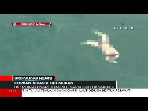 AirAsia Crash Confirmed: Debris, Including Bodies Belongs to Flight QZ8501