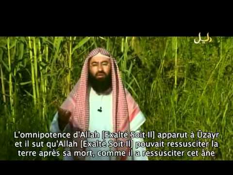 Les Histoires des Prophètes (Ep.25-2/2) : Suleyman | Uzayr  'aleyhum salam