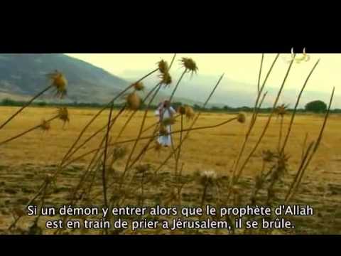 E25 [Sulayman 2 ; Uzayr] des Histoires des Prophètes par Nabil El-Awady