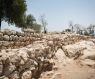 Khirbet Qeiyafa: Are these the ruins of King David's palace?