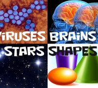 Watch: Viruses, Stars, Brains, & Shapes