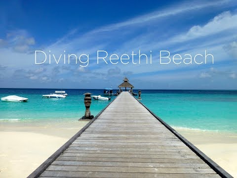 Diving at Reethi Beach, Baa Atoll, Maldives, September 2013, HD