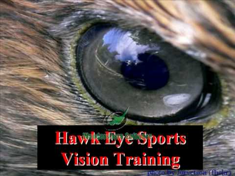 Hawk Eye Sports Vision Training Intro