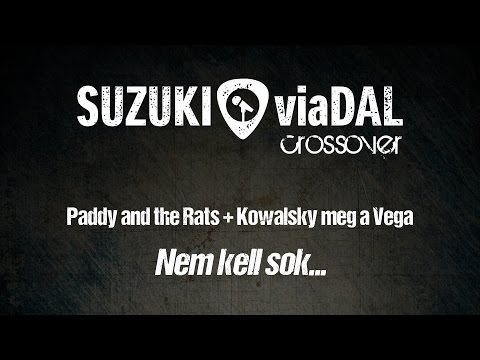 Paddy and the Rats + Kowalsy meg a Vega - Nem kell sok... (Lyric Video)