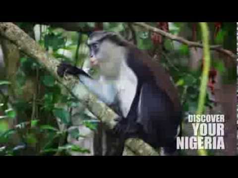 Domestic Tourism in Nigeria