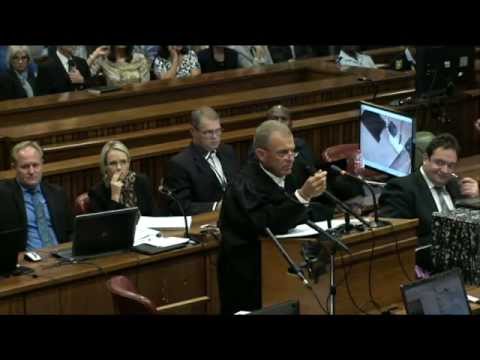 Oscar Pistorius Trial: Wednesday 9 April 2014, Session 5