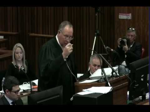 Oscar Pistorius Trial: Thursday 3 July 2014, Session 2