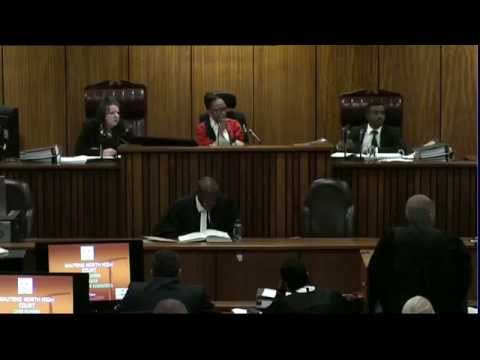 Oscar Pistorius Trial: Thursday 3 July 2014, Session 4