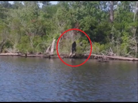 Bigfoot Sighting Virginia June 2014 - Caught on Tape