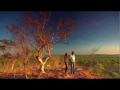 Darwin, the Tropical Capital of Australia's Northern Territory