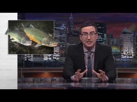 Last Week Tonight with John Oliver: Salmon Cannon (HBO)