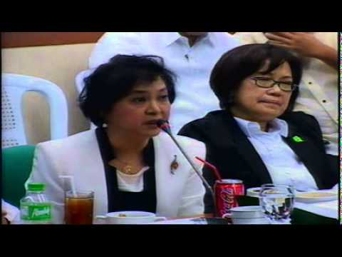 Blue Ribbon Committee Hearing (August 20, 2014)