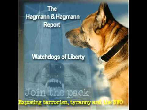 Dave Hodges on The Hagmann & Hagmann Report July 25, 2014