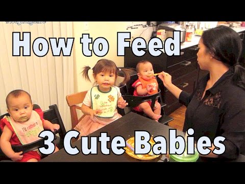 How to Feed 3 Cute Babies! - September 22, 2014 - itsJudysLife Daily Vlog