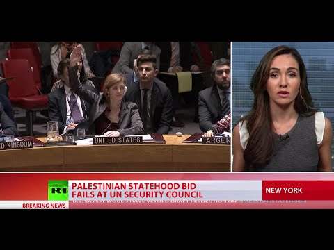 Palestinian statehood bid fails at UN Security Council as US, Australia vote against