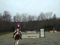 Me, Sean, Kissie and Cooper: Riding Lessons at Barb's