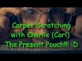 Carpet Scratching with Charlie (Carl) - The Present Pouch!!! :D [ Binaural ASMR ]