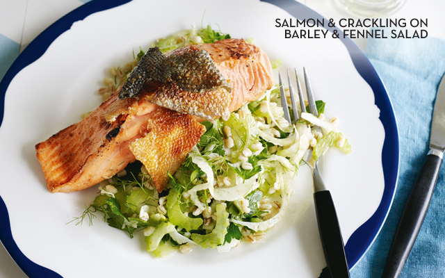 Salmon & crackling on barley & fennel salad