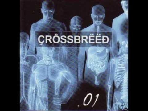 Crossbreed - Regretful Times (.01 version)