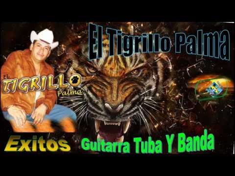 El Tigrillo Palma Corridos Exitos Guitarras Tuba y Banda Mix