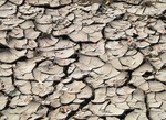 Drought - Barren farmland, Maharashtra, India