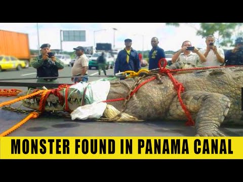 MONSTER FROM PANAMA CANAL EXPLAINED