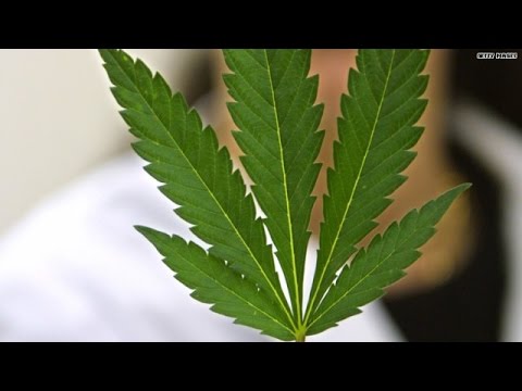 Recreational pot passes in Oregon, Alaska