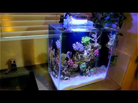 Fluval Edge 12g Nano Reef