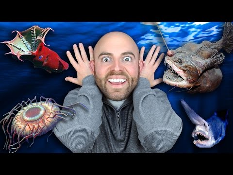 10 STRANGEST Deep Sea Creatures Ever Discovered!