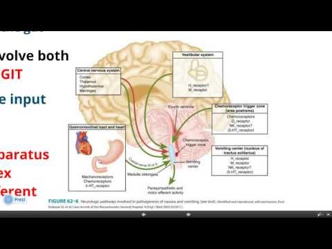 OTC of the GIT  - 1 امراض الجهاز الهضمي الحلقة