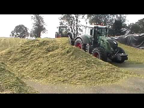 MAIZE SILAGE 2014