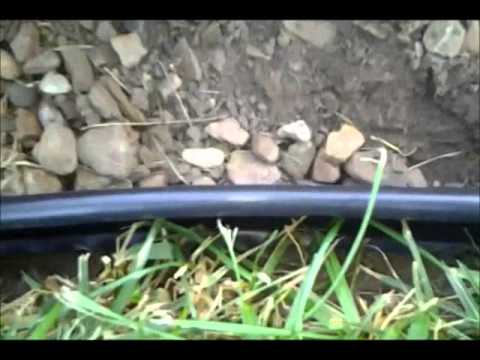 Installing Plastic Landscape Edging (DIY)