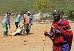 File - Masai men drag away a dying cow to be slaughtered, Feb. 2, 2006 in the village of Bissel some 100 kilometers south of Nairobi, Kenya.When drought comes to East Africa, as it does every four-to-five years, the very young and the very old are the first to suffer.