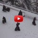 Monks Playing with Snow