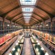 Bibliotheque de l'Hotel de Ville, Paris, 2012 House of Books