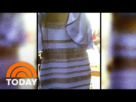 The Dress Debate SETTLED: Black And Blue - Or White And Gold? | TODAY