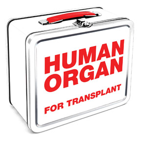 Organ Transplant Lunch Box