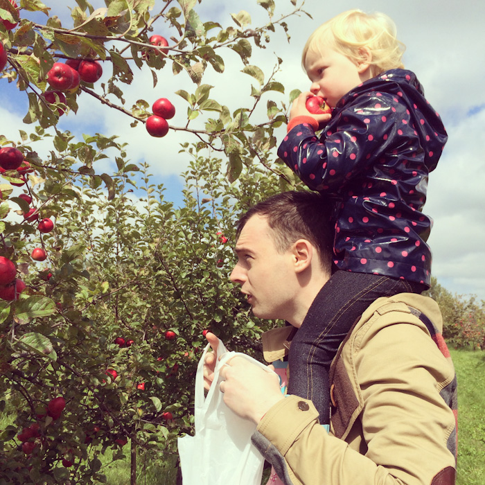 apple_picking-10