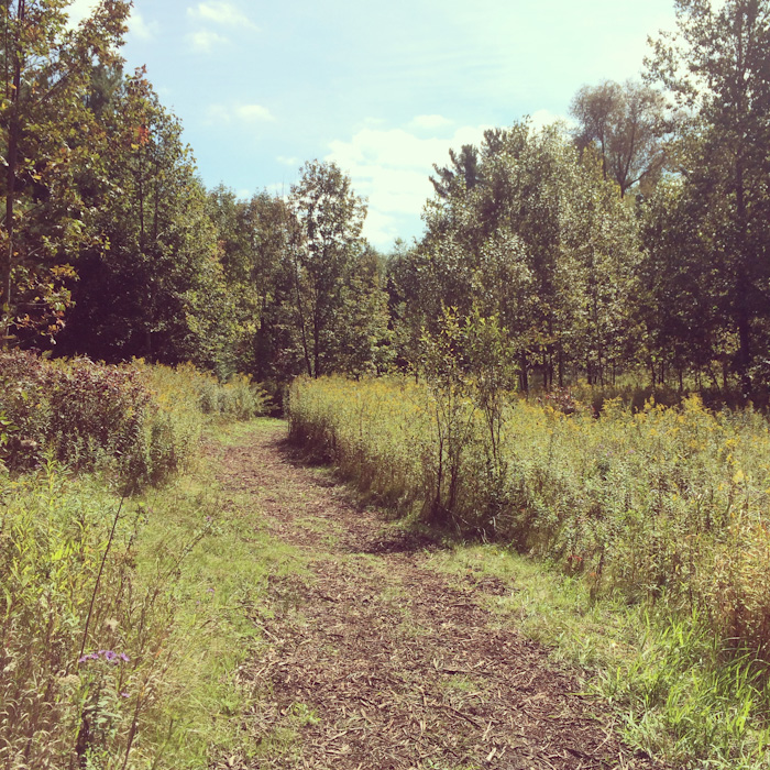 apple_picking-2