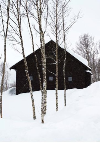 swedish-cottage