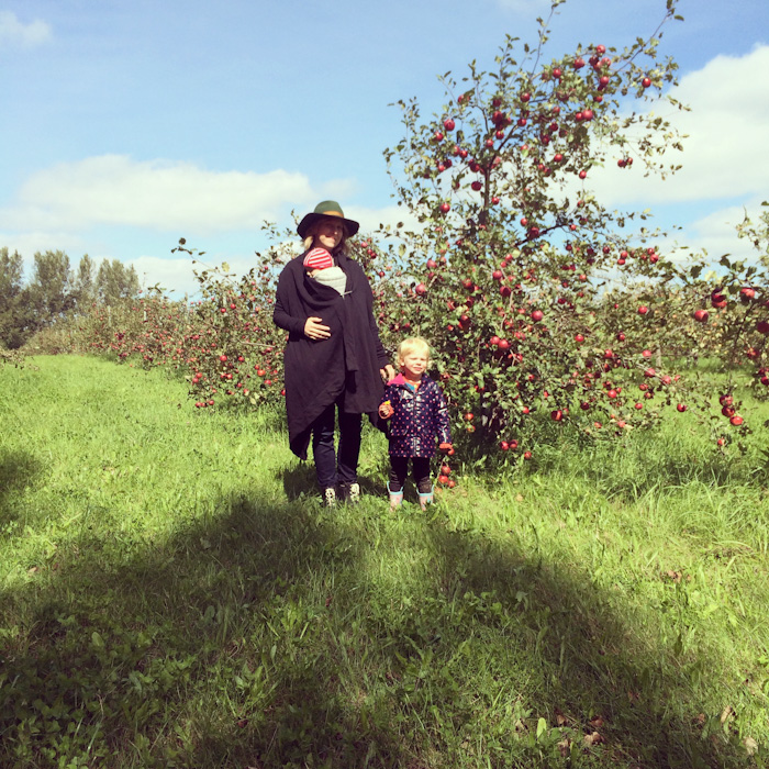 apple_picking-4