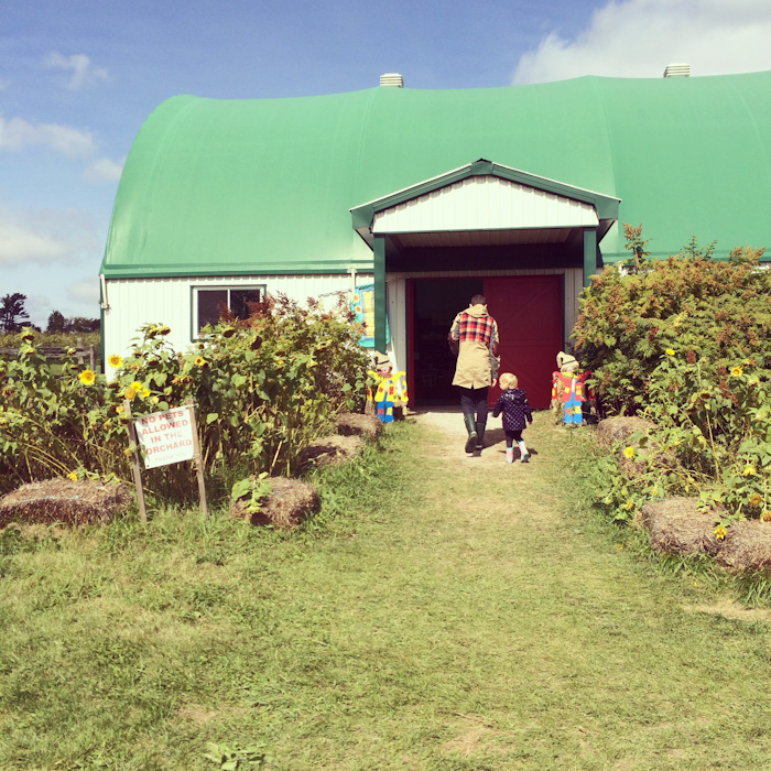 apple_picking-7