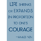 Life-Shrinks-Anais-Nin-2x3-Magnet