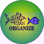 Organize-Button