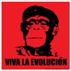 Viva La Evolucion Small Poster