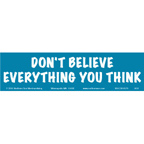 Don't Believe Everything Bumper Sticker