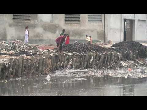 Textiles: Environmental Impacts (Preview)