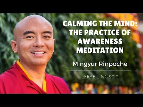 Mingyur Rinpoche ~ Calming the Mind: The Practice of Awareness Meditation